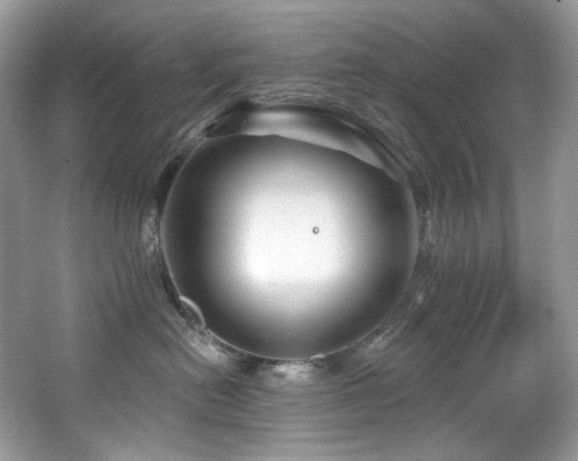 X0000065260478200602171459