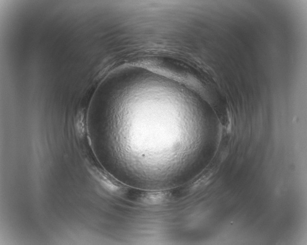 X0000065260479200602171459