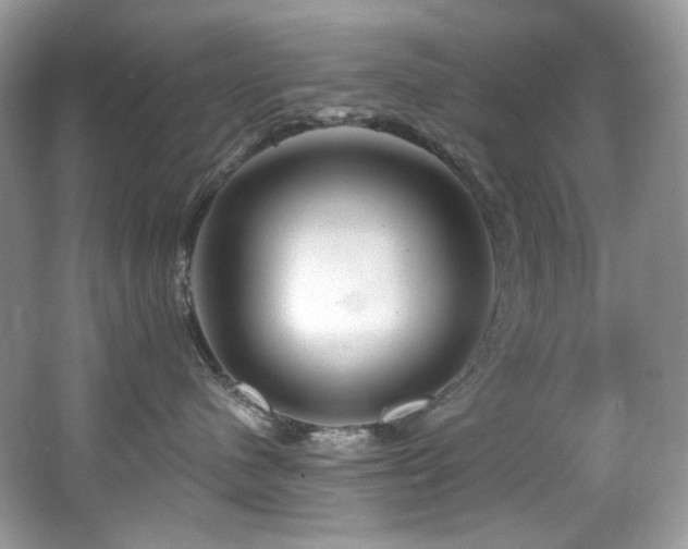 X0000065260480200602171459