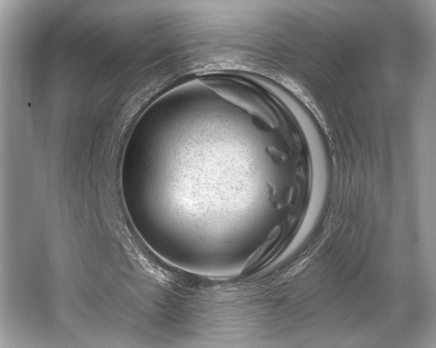 X0000065260481200602171458