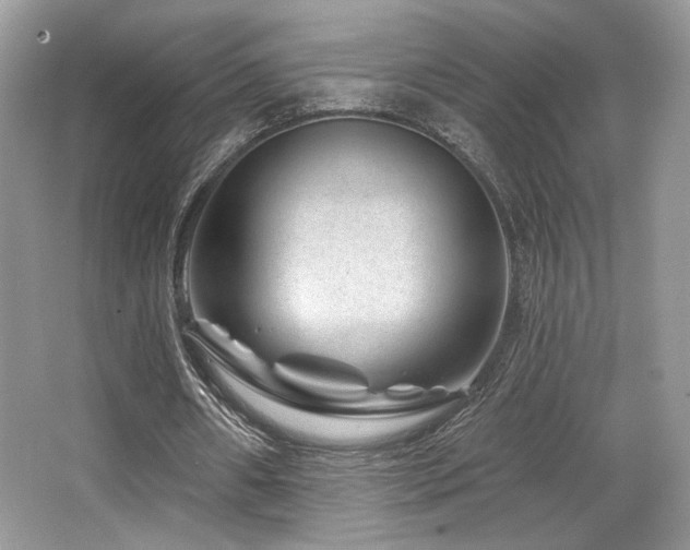 X0000065260482200602171458