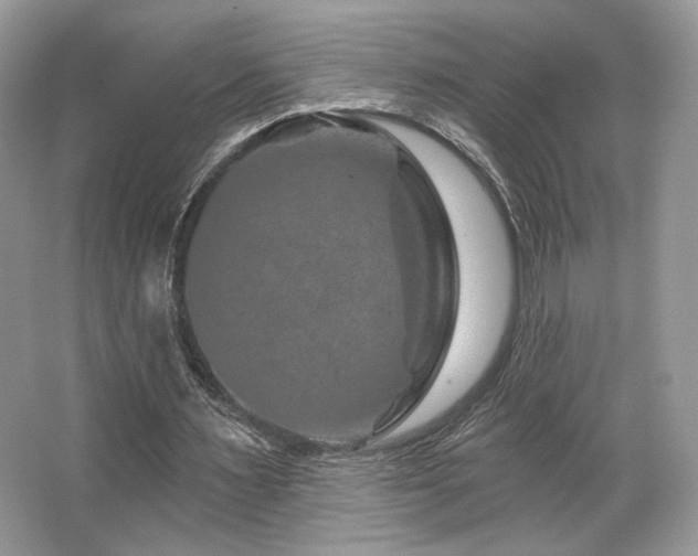 X0000065260483200602171458