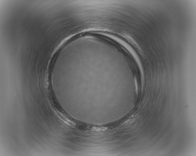 X0000065260484200602171458