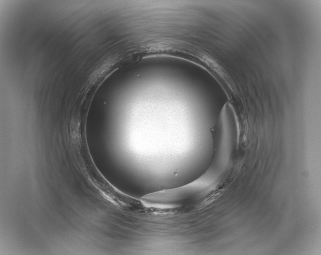 X0000065260485200602171458