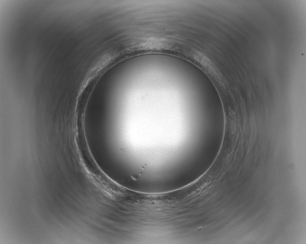 X0000065260486200602171458