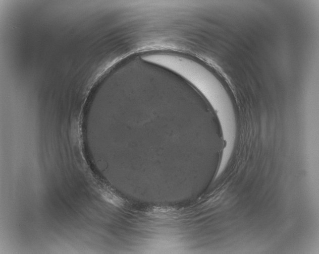 X0000065260487200602171458