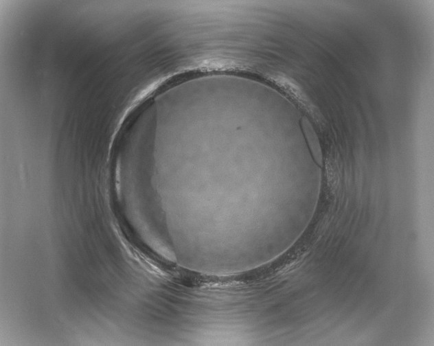 X0000065260488200602171458