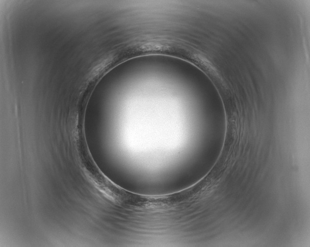 X0000065260490200602171458