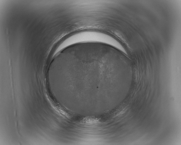 X0000065260491200602171458