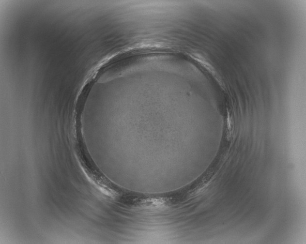 X0000065260492200602171458