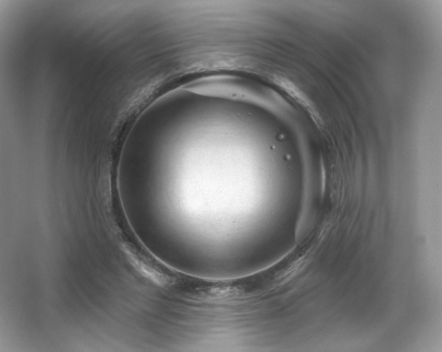 X0000065260493200602171458