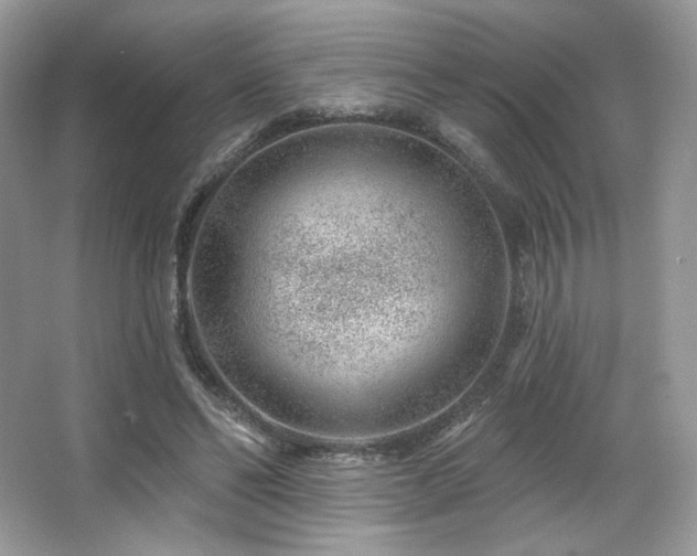 X0000065260494200602171458