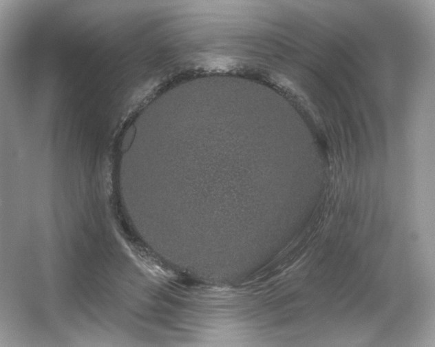 X0000065260496200602171458