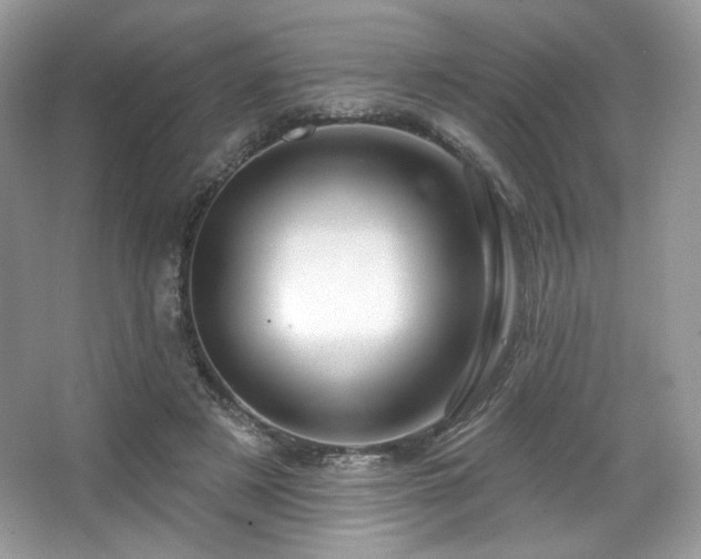 X0000065260497200602171458