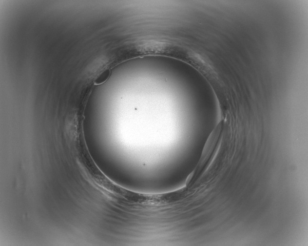 X0000065260498200602171458