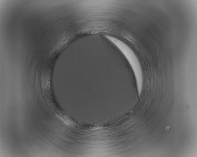 X0000065260499200602171458