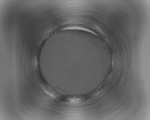 X0000065260500200602171458