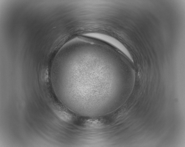 X0000065260502200602171458