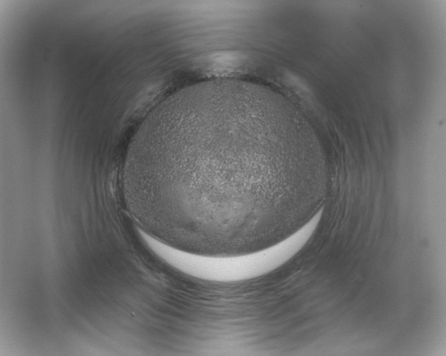 X0000065260503200602171458