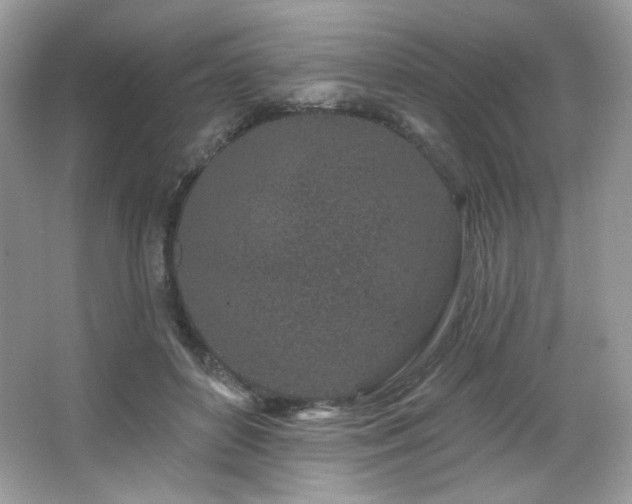 X0000065260504200602171458