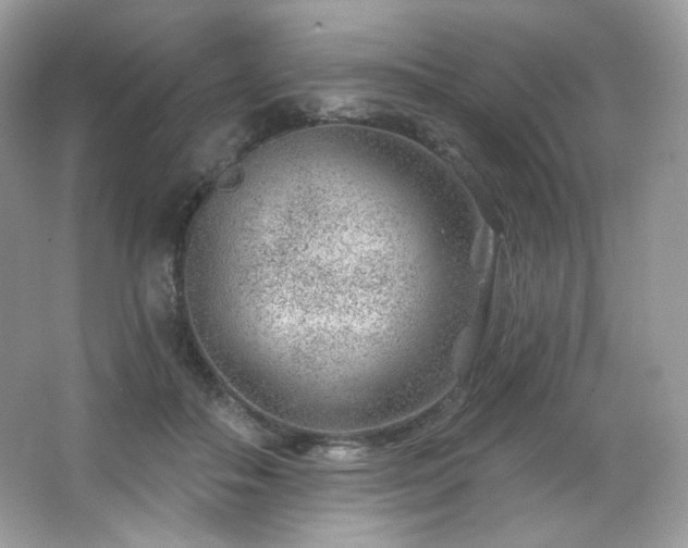 X0000065260506200602171458