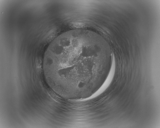 X0000065260507200602171458