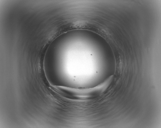 X0000065260508200602171458