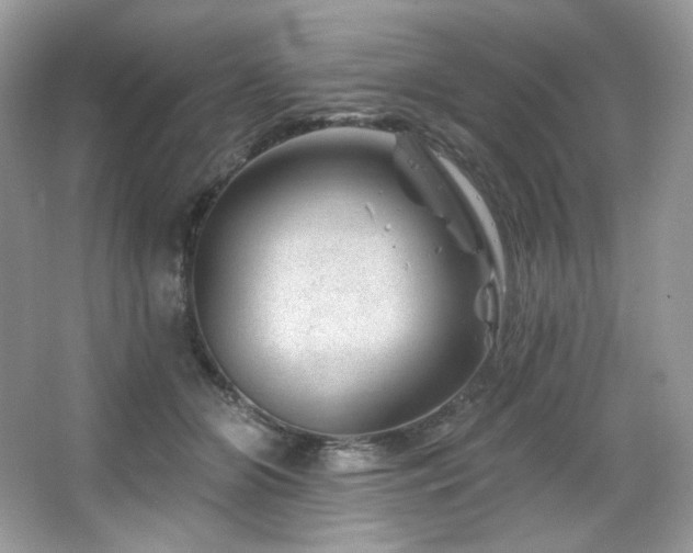 X0000065260510200602171458