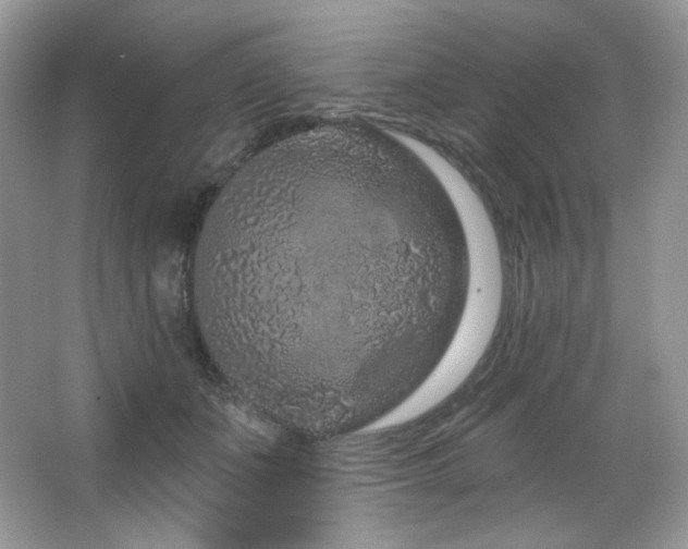 X0000065260511200602171458