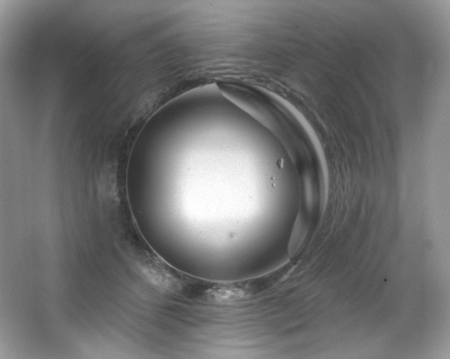 X0000065260512200602171458