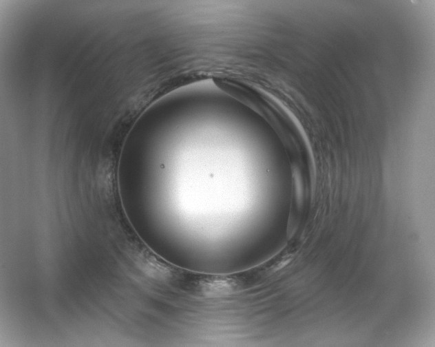 X0000065260513200602171458