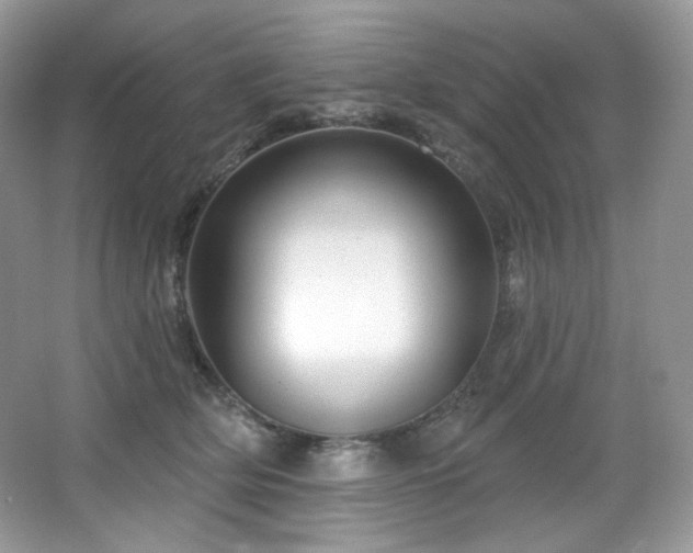 X0000065260514200602171458