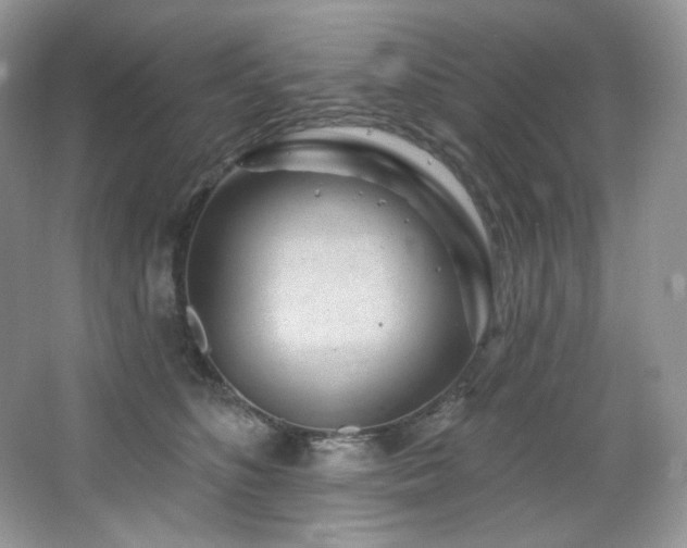 X0000065260516200602171458