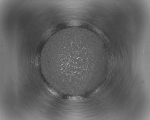 X0000065260517200602171458