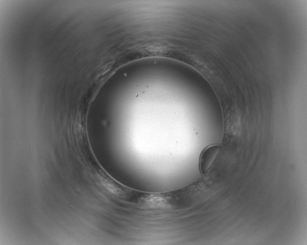 X0000065260518200602171458