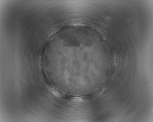 X0000065260519200602171458