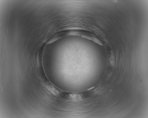 X0000065260520200602171458