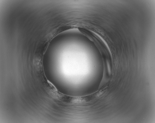 X0000065260521200602171458