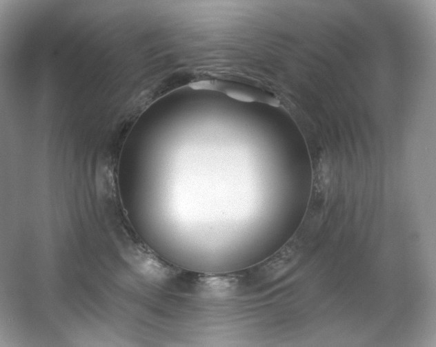 X0000065260522200602171458