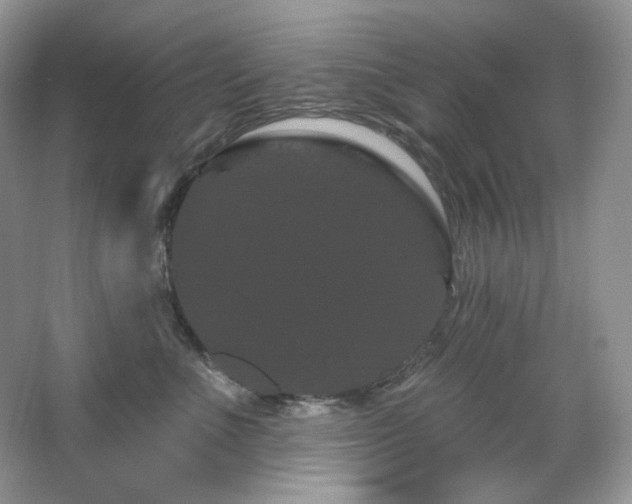 X0000065260523200602171458