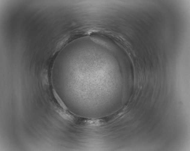 X0000065260524200602171458