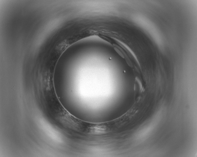 X0000065260525200602171458