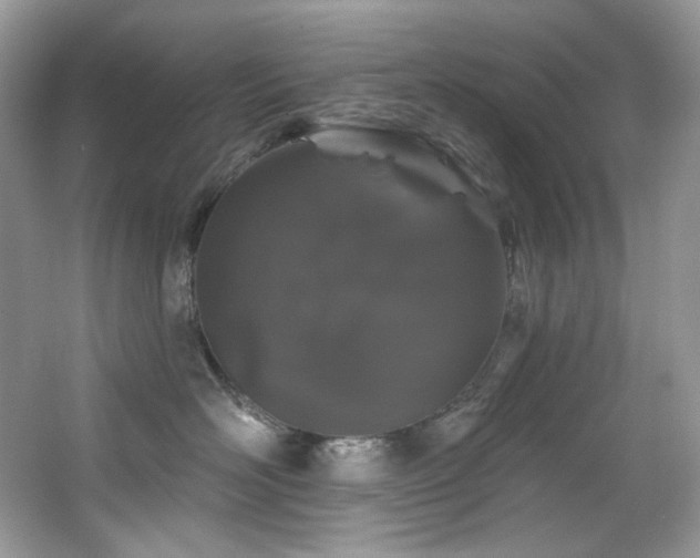 X0000065260526200602171458