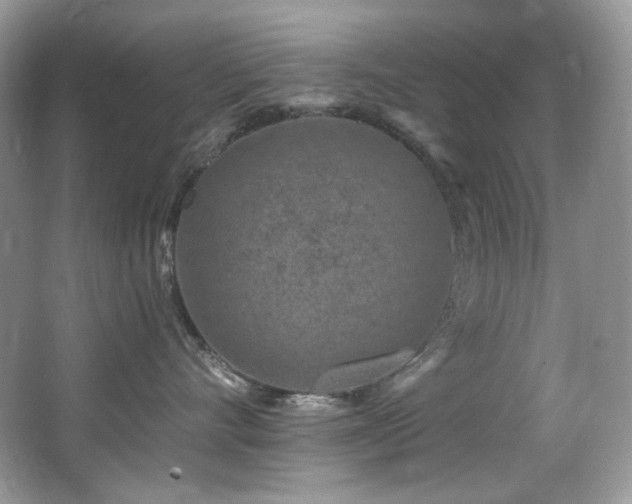 X0000065260528200602171458