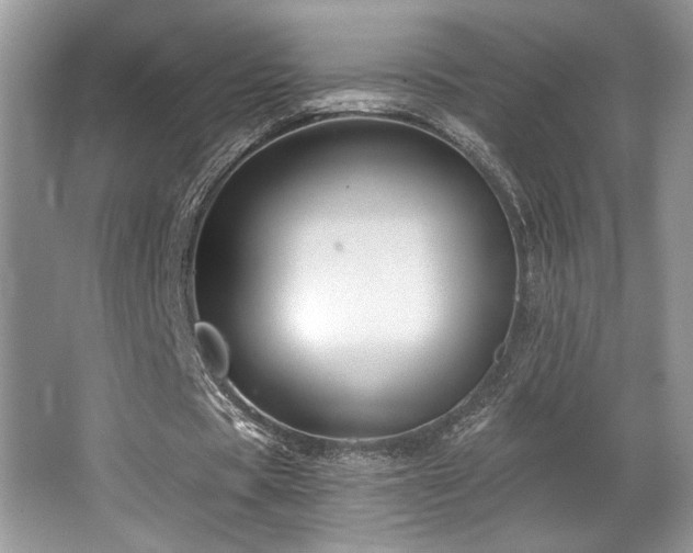 X0000065260529200602171457