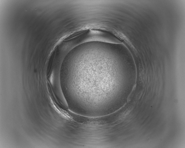 X0000065260530200602171457