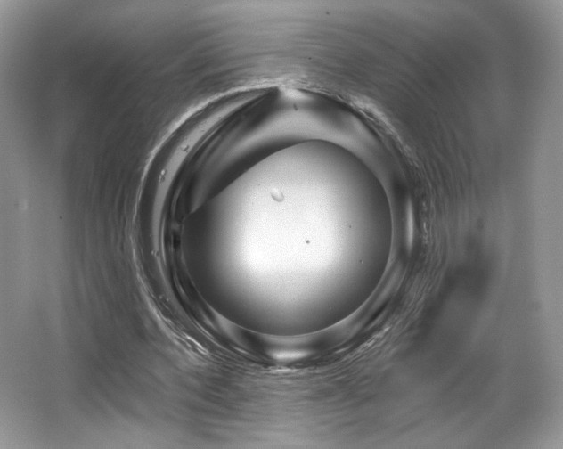 X0000065260532200602171457