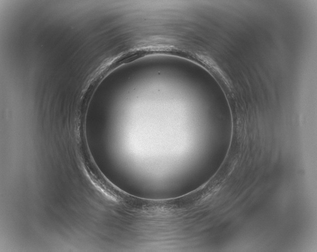 X0000065260533200602171457