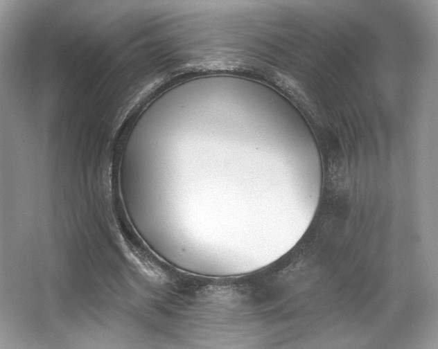 X0000065260534200602171457