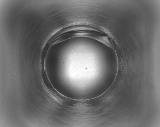 X0000065260535200602171457